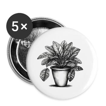 Houseplant / Potted Plant / Decoration / Pot - Buttons small 1''/25 mm (5-pack) - white - Front
