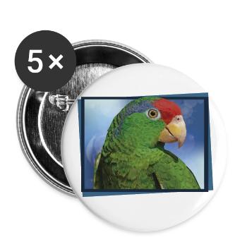 The Tamaulipas parrot - Buttons small 1''/25 mm (5-pack) - white - Front
