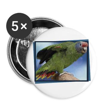 Le perroquet à queue rousse - Lot de 5 petits badges (25 mm) - blanc - Devant