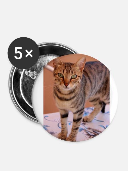 Katze, Kätzchen - Buttons klein 25 mm (5er Pack) - Weiß
