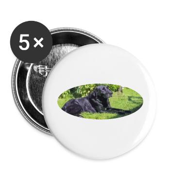 labrador - Buttons small 1''/25 mm (5-pack) - white - Front