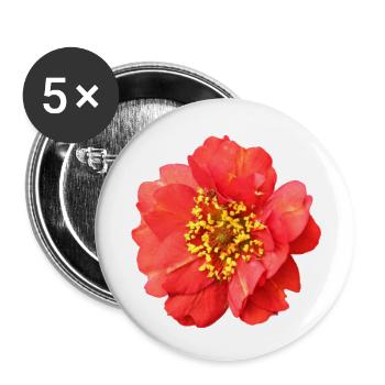 rote Blume Rose - Buttons klein 25 mm (5er Pack) - Weiß - Vorne