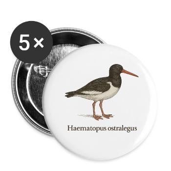 Austernfischer – Ornithologische Illustration - Buttons klein 25 mm (5er Pack) - Weiß - Vorne