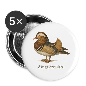 Mandarin Duck – Ornithology Illustration - Buttons small 1''/25 mm (5-pack) - white - Front