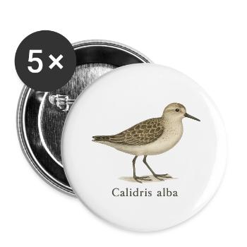 Sanderling – Calidris alba - Buttons klein 25 mm (5er Pack) - Weiß - Vorne