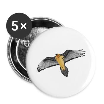 Gypaète barbu - Lot de 5 petits badges (25 mm) - blanc - Devant