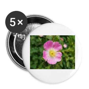 sweet briar auch eglantine rose Weinrose - Buttons klein 25 mm (5er Pack) - Weiß - Vorne