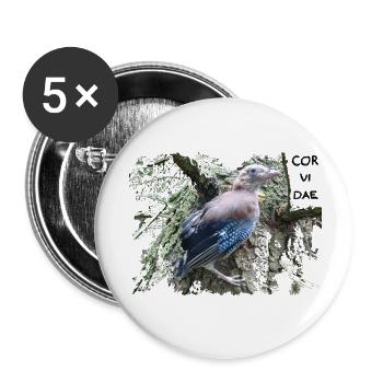 Corvidés geai - Lot de 5 petits badges (25 mm) - blanc - Devant