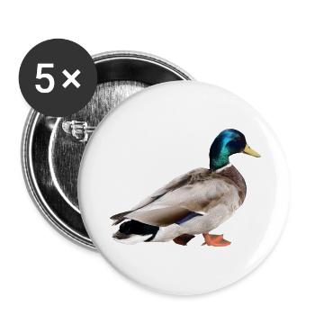 Mallard Male - Buttons small 1''/25 mm (5-pack) - white - Front