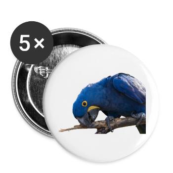Hyacinth Macaw Parrot face view - Buttons small 1''/25 mm (5-pack) - white - Front
