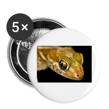 Paroedura picta - Madagasar ground gecko - Buttons klein 25 mm (5er Pack) - Weiß - Vorne
