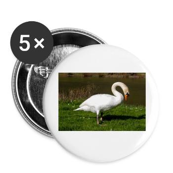 Cygne tuberculé (en allemand Höckerschwan) Cygnus olor - Lot de 5 petits badges (25 mm) - blanc - Devant