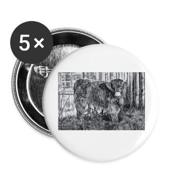 Highland cattle - Buttons small 1''/25 mm (5-pack) - white - Front