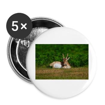 Fallow 1 - Buttons small 1''/25 mm (5-pack) - white - Front