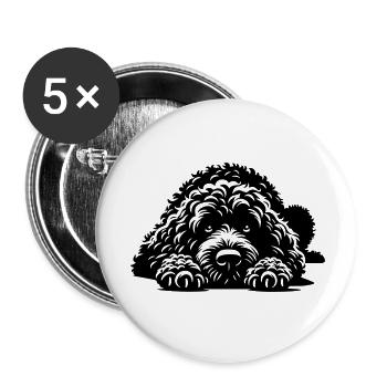 Chien d’Eau Espagnol - Lot de 5 petits badges (25 mm) - blanc - Devant