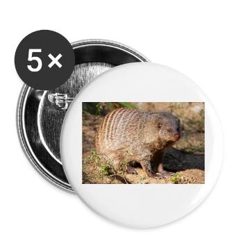Gebänderte Manguste oder Zebramanguste Zebramanguste - Buttons klein 25 mm (5er Pack) - Weiß - Vorne