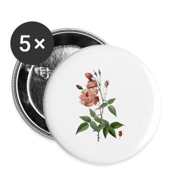 China-Rose vintage botanische Zeichnung - Buttons klein 25 mm (5er Pack) - Weiß - Vorne