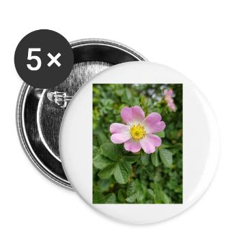 sweet briar auch eglantine rose Weinrose - Buttons klein 25 mm (5er Pack) - Weiß - Vorne