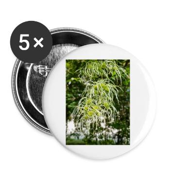 Traveller's Joy Clematis vitalba - Buttons klein 25 mm (5er Pack) - Weiß - Vorne