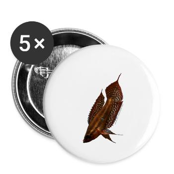 Parosphromenus linkei - Buttons small 1''/25 mm (5-pack) - white - Front