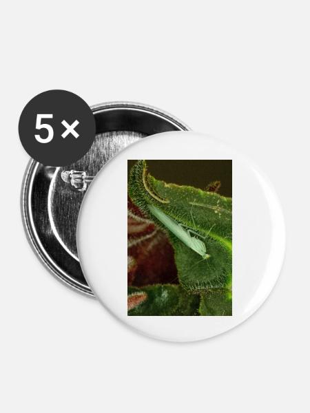Tropidomantis cf tenue - Buttons small 1''/25 mm (5-pack) - white