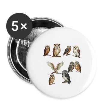 Arten von Eulen Bildungssammlung Niedliche Eule 2025 - Buttons klein 25 mm (5er Pack) - Weiß - Vorne