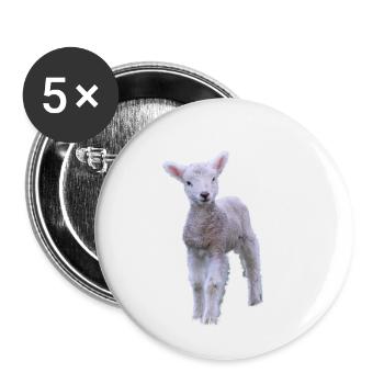 cute lamb - süßes Lamm - Buttons klein 25 mm (5er Pack) - Weiß - Vorne