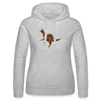 Dinosaurier: Spinosaurus - Frauen Kapuzen Sweater von Russell - Grau meliert - Vorne - Marisol (170cm)