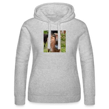 Chèvre de montagne dans le parc national Parc de l’île de Kos - Sweat à capuche Russell Femme - gris chiné - Devant - Marisol (170cm)