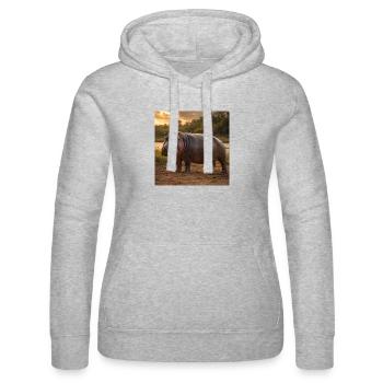 Flusspferd in Sonnenuntergangssafari - Frauen Kapuzen Sweater von Russell - Grau meliert - Vorne - Marisol (170cm)