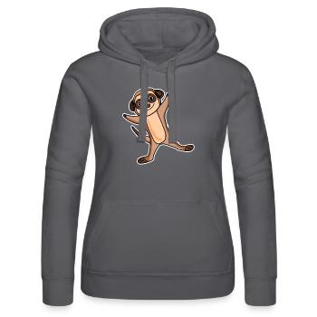 Erdmännchen Sticker - Frauen Kapuzen Sweater von Russell - Grau - Vorne - Marisol (170cm)