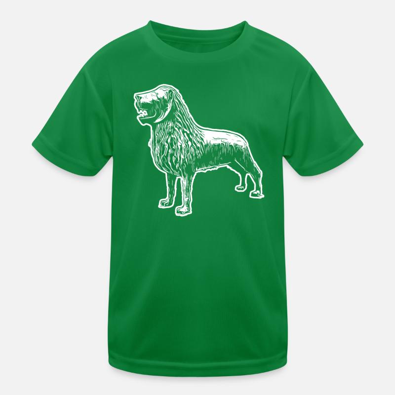 Brunswick Lion T-shirt sport Enfant