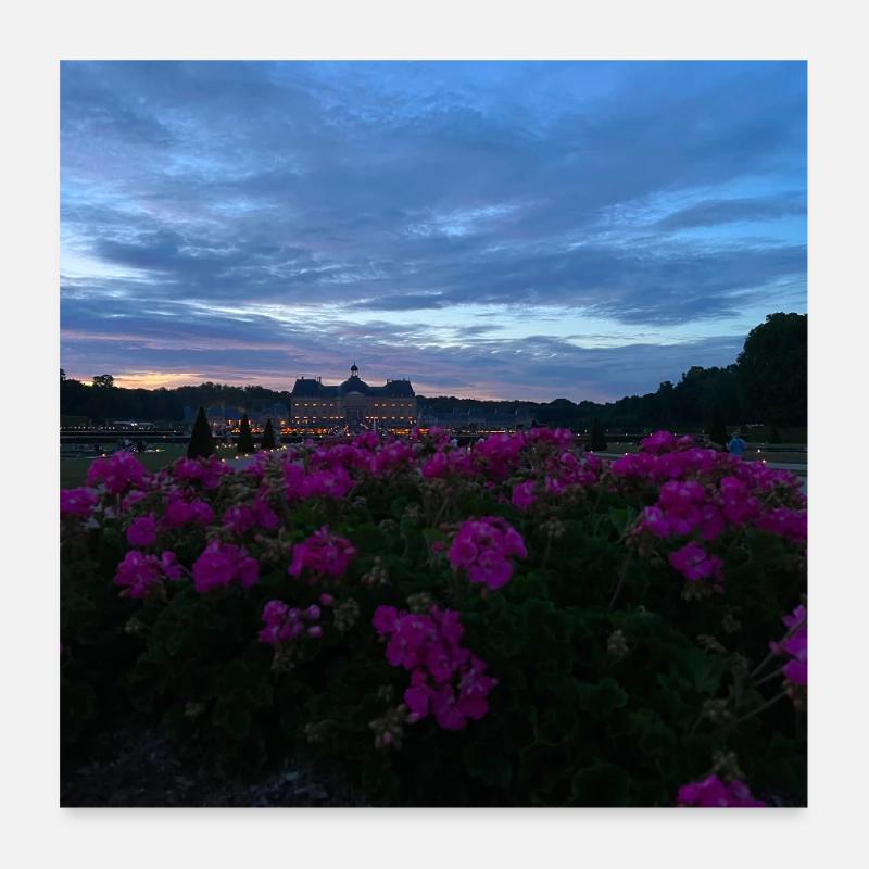 Château de Vaux le Vicomte at night Poster 24" x 24" (60x60 cm)