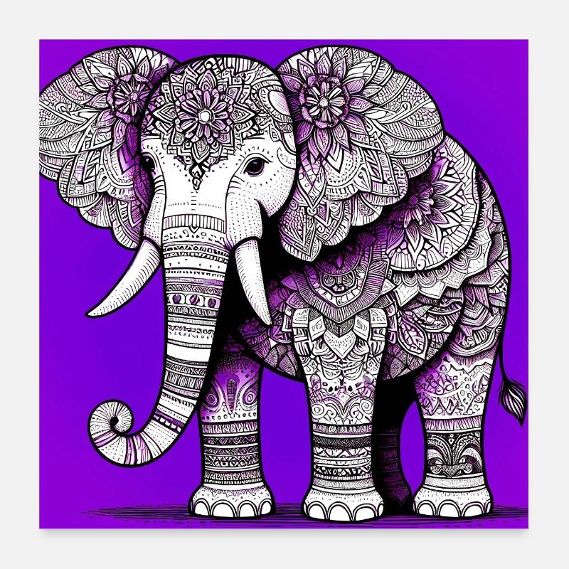 Elefant Poster 60x60 cm