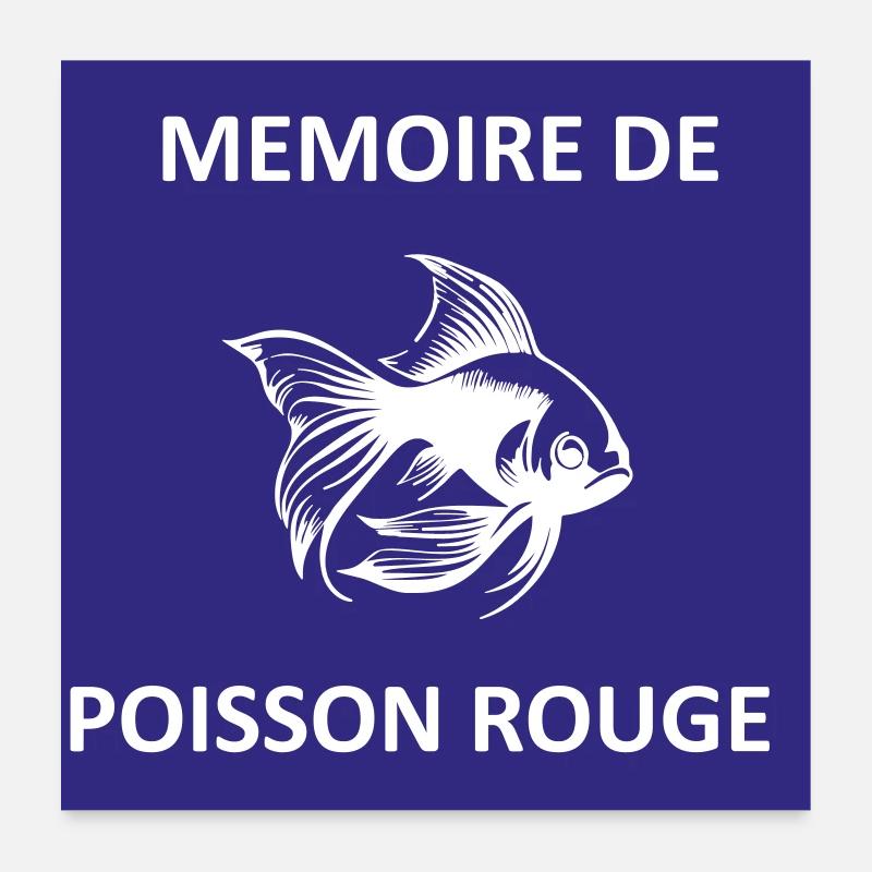 Goldfish Memory Poster 24" x 24" (60x60 cm)