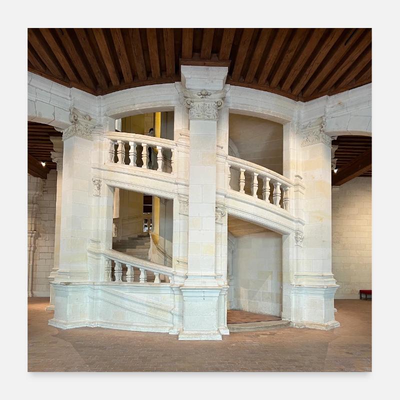 Doppelte Wendeltreppe Poster 60x60 cm