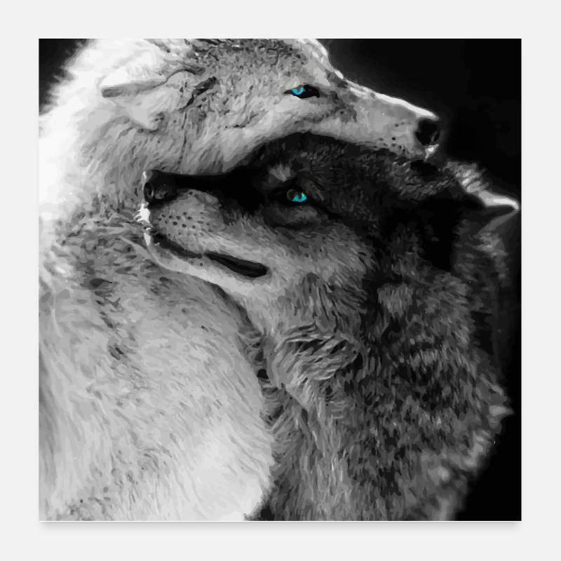Deux loups étreignant des yeux bleus Poster 60 x 60 cm