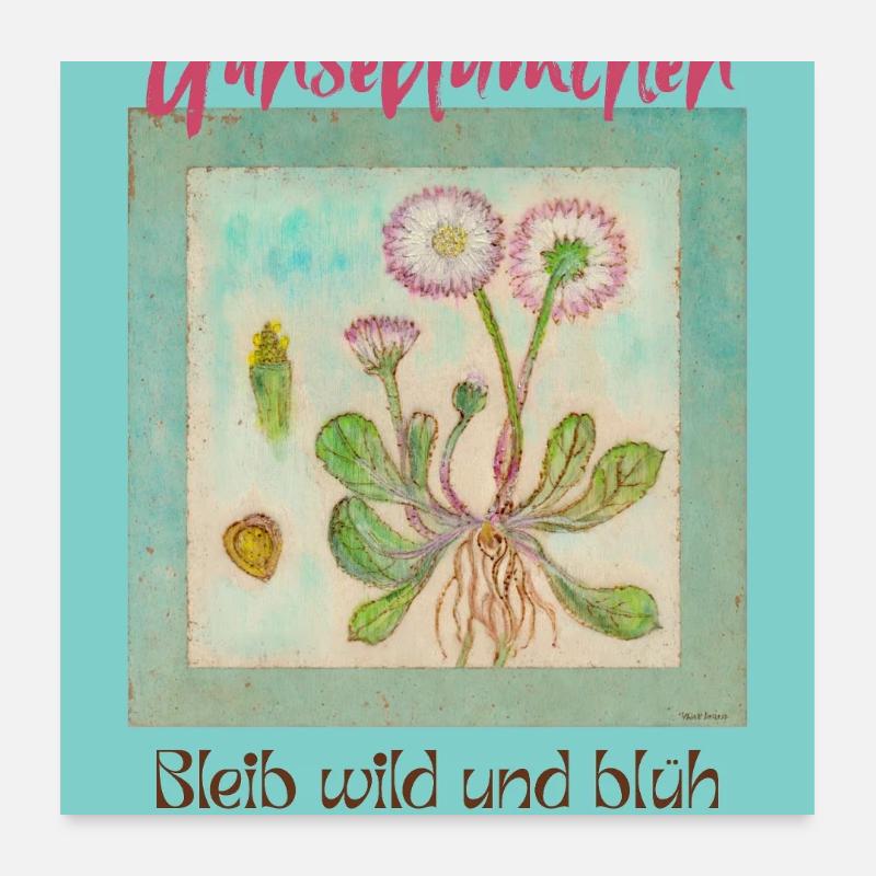 Gänseblümchen Wildblumen Print Poster 60x60 cm