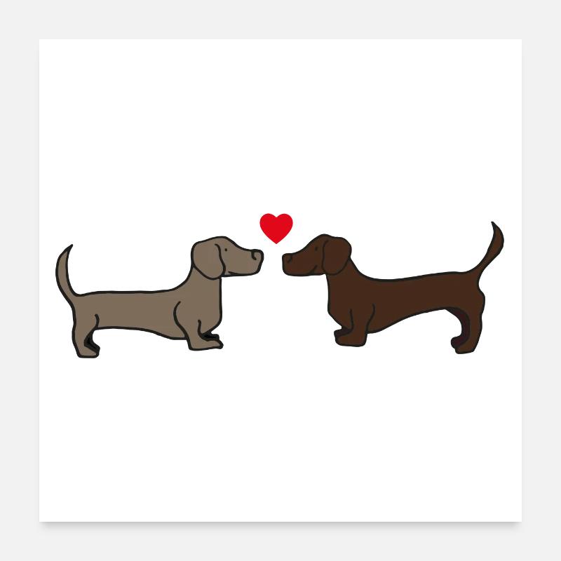 zwei sich küssende Dackel , Geschenkidee, Poster - Poster 60x60 cm - Weiß