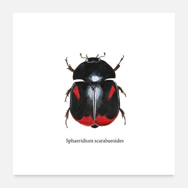 water beetle Poster 24" x 24" (60x60 cm)