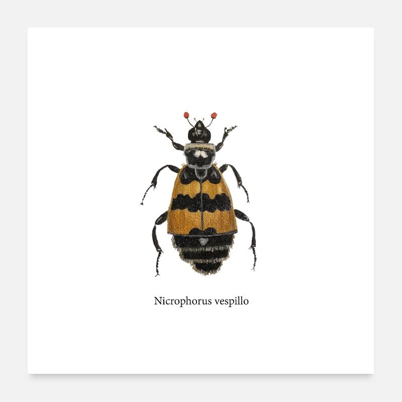 Totengräber Poster 60x60 cm