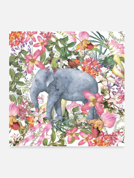 Elephant in the Flower Jungle - Poster 24" x 24" (60x60 cm) - white