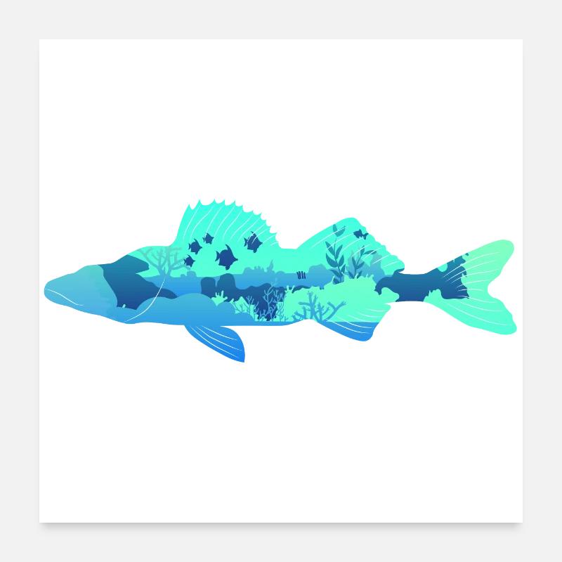 Zander - Poster 60x60 cm - Weiß