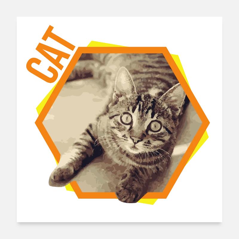 Cat Bengal Cat Siam Persian Gift Poster 24" x 24" (60x60 cm)
