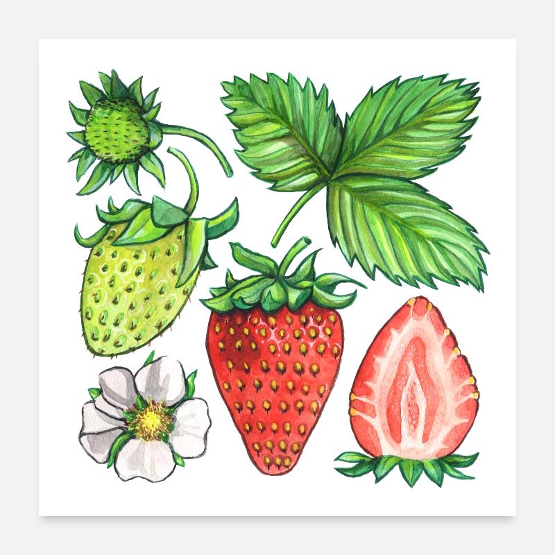 Strawberries Poster 24" x 24" (60x60 cm)