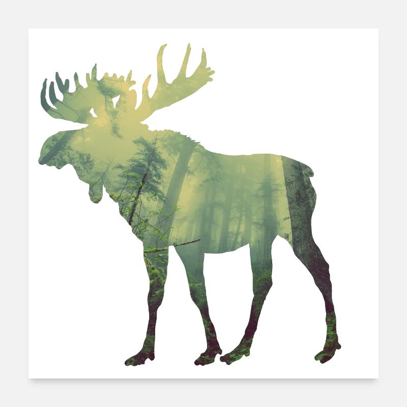 Orignal dans la forêt Poster 60 x 60 cm