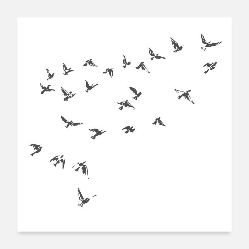 Handgezeichnete Vögel Poster 60x60 cm