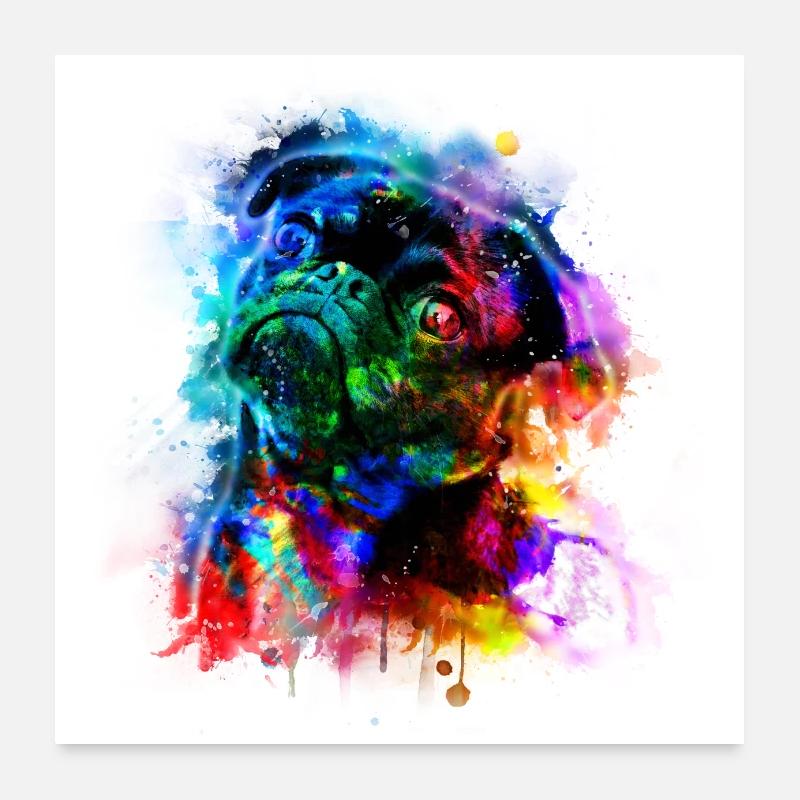 Affiche de retouche de photo de carlin mignon Poster 60 x 60 cm