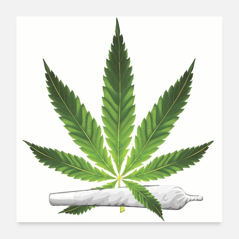 Doob vert Poster 60 x 60 cm