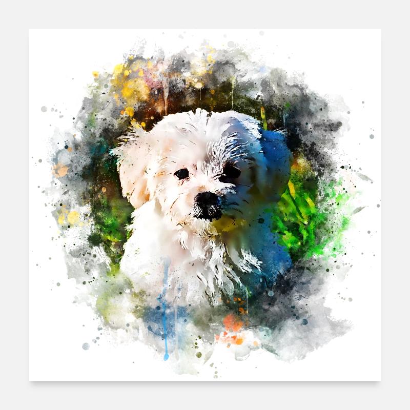 gxp malteser hund wasserfarbe spritzer - Poster 60x60 cm - Weiß